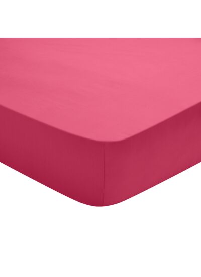 Drap Housse Studio Coton Fuchsia