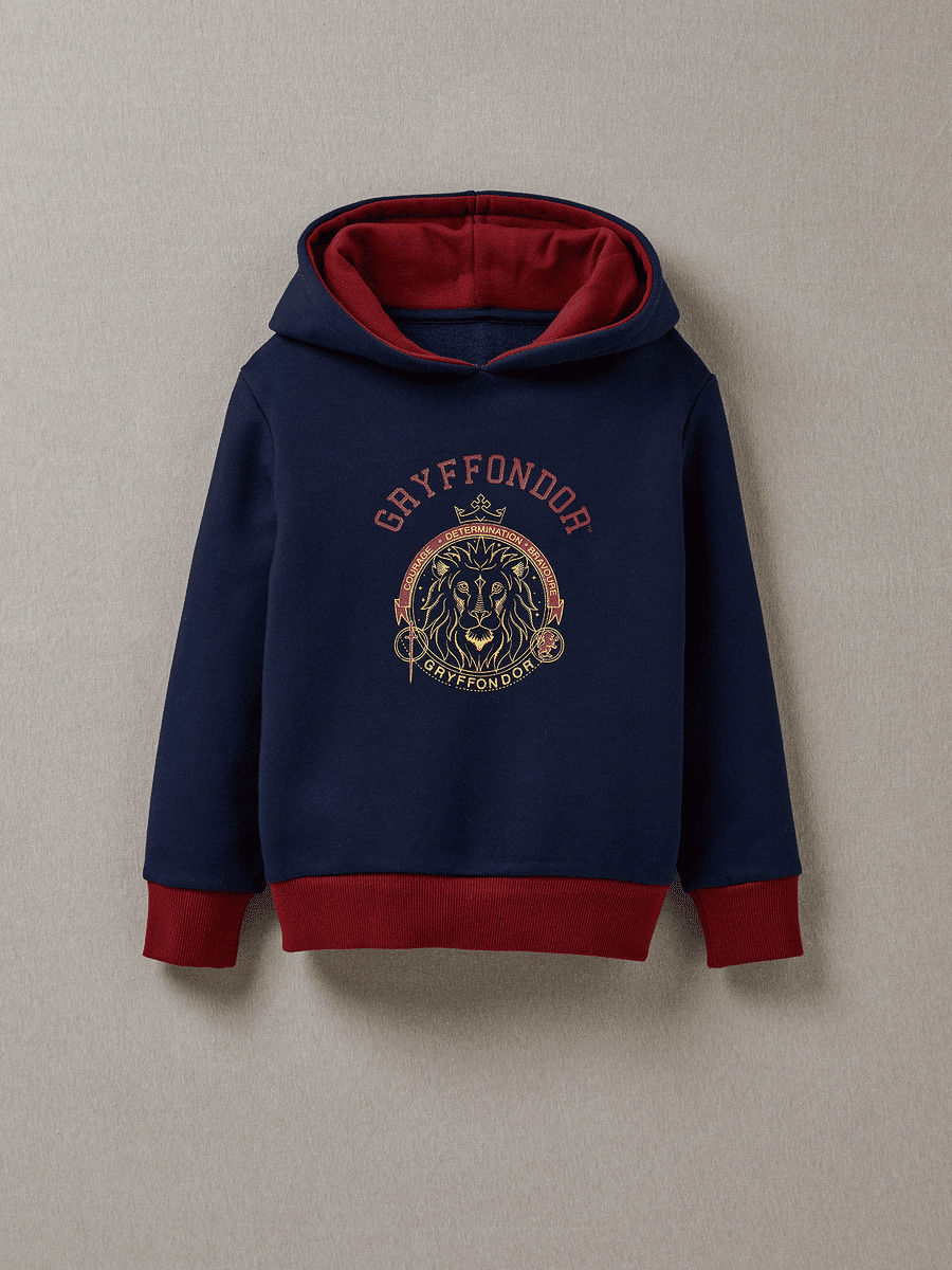 Sweat Capuche Hp