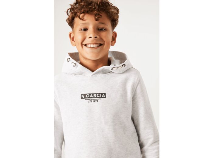 Boys Hoodies Gray