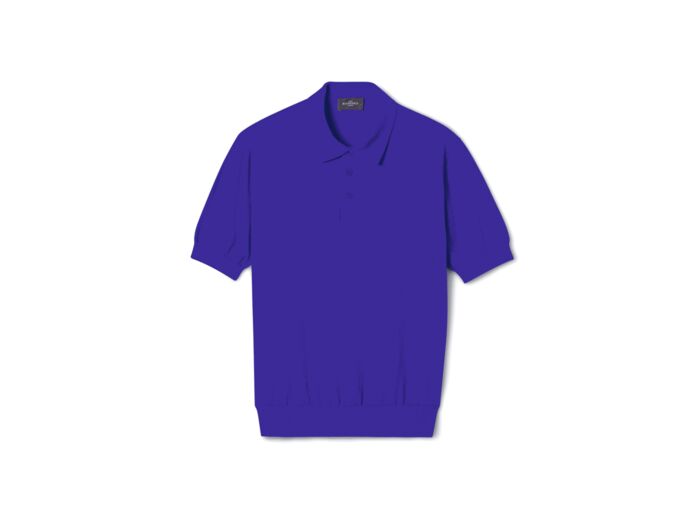 Polo uni - Homme - BLEU DELPHINIUM