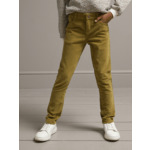 Pantalon Slim Velours