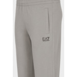 Pantaloni - Flanelle Gris