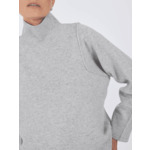 Pull col roulé ML Vekina ACIER