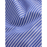 Chemise carl rayée bleue