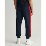 Pantalon de jogging Banner Shield