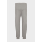 Pantaloni - Flanelle Gris