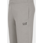 Pantaloni - Flanelle Gris