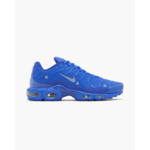 Air Max Plus A Cold Wall House Blue