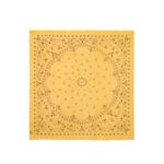 Très Grand Bandana EFFY Très grand bandana en voile de cachemire, 2 fils