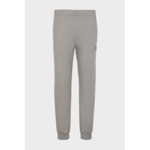 Pantaloni - Flanelle Gris