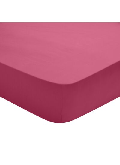 Drap Housse Studio Coton Fuchsia