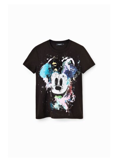 TS MICKEY CRASH