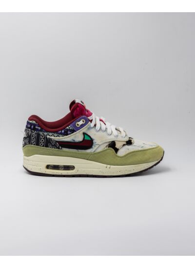 Air Max 1 SP Concepts Mellow