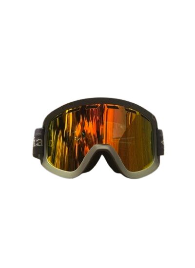 WHIRLIBIRD SKI GOGGLE Gris