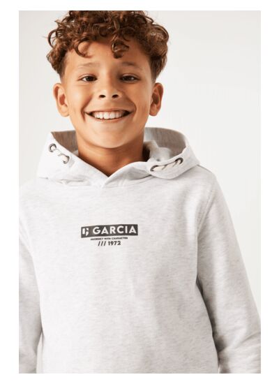 Boys Hoodies Gray