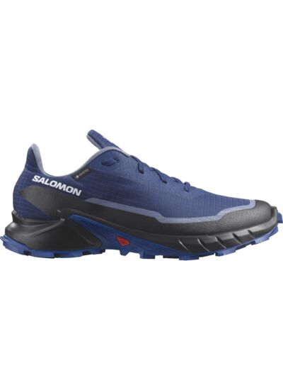 ALPHACROSS 5 GTX - Chaussure de running polyvalente