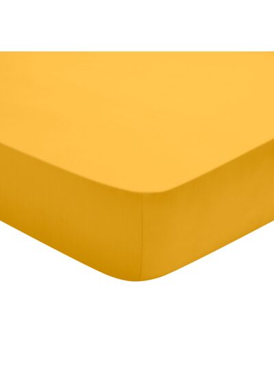 Drap Housse Studio Coton Jaune