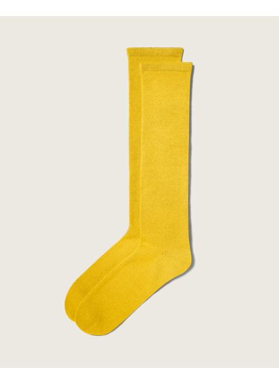 Chaussettes hautes - Accessoire - JAUNE VENITIEN