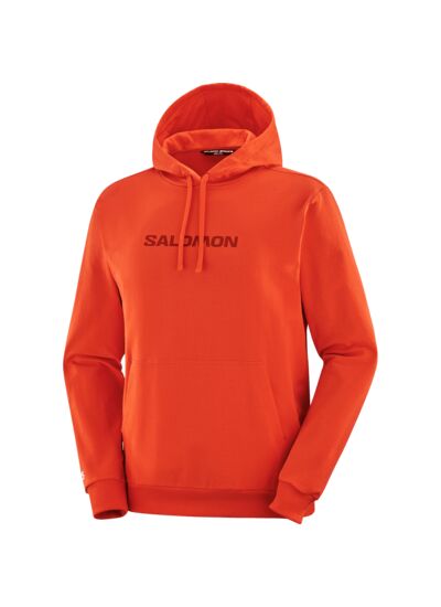 SAL LOGO PERF HOODIE