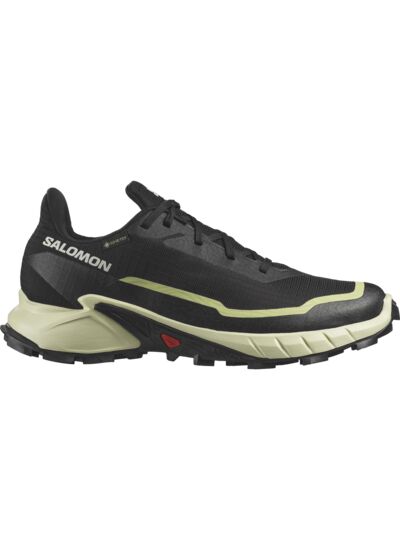 ALPHACROSS 5 GTX - Chaussure de running polyvalente