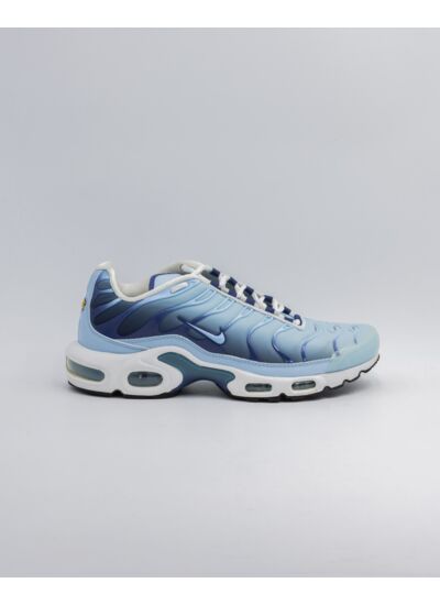 Air Max Plus Celestine Blue