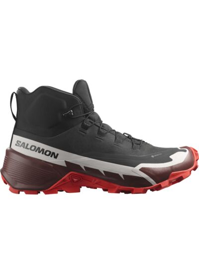 CROSS HIKE MID GTX 2 - Chaussures de randonnée