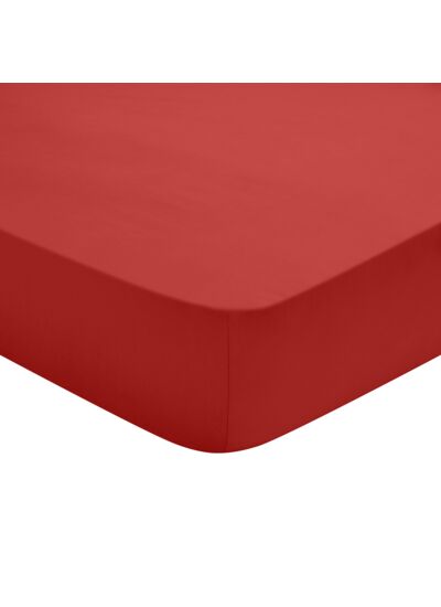 Drap Housse Studio Coton Rouge