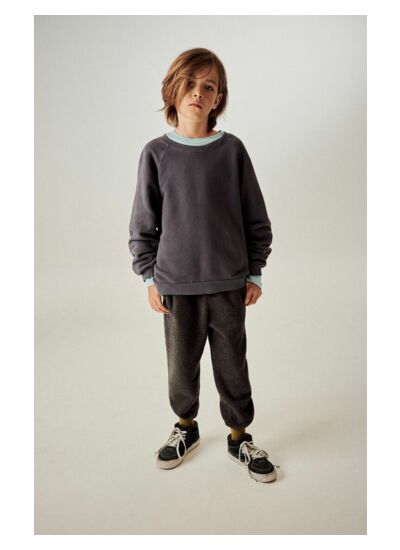 Sweat enfant Izubird