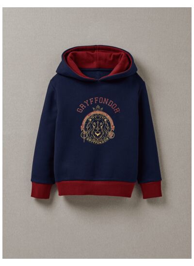 Sweat Capuche Hp