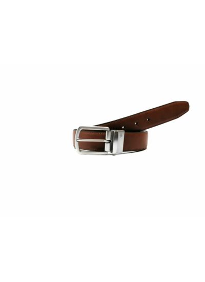 REVERSIBLE VERSATILE BELT