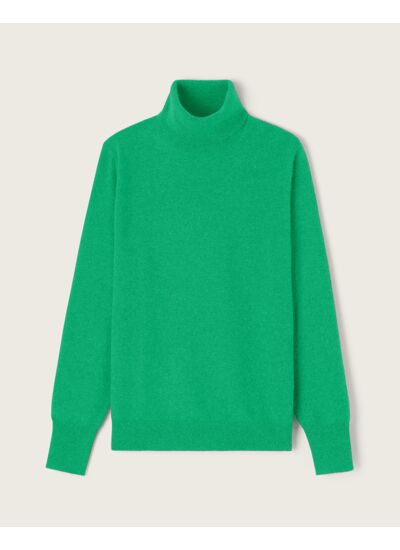 Pull col roulé classique - Homme - VERT LAGOON